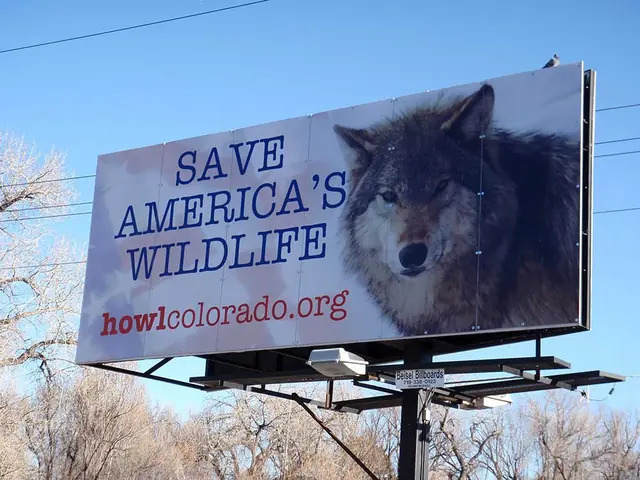 Wildlife conservation billboard with wolf graphic