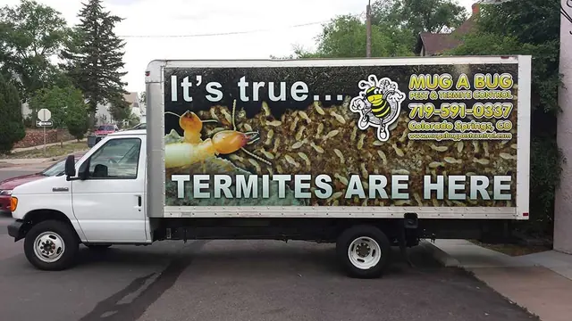 Box truck graphics for a pest control company