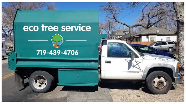 Eco Tree Service truck graphics