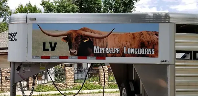 Trailer with longhorn graphics