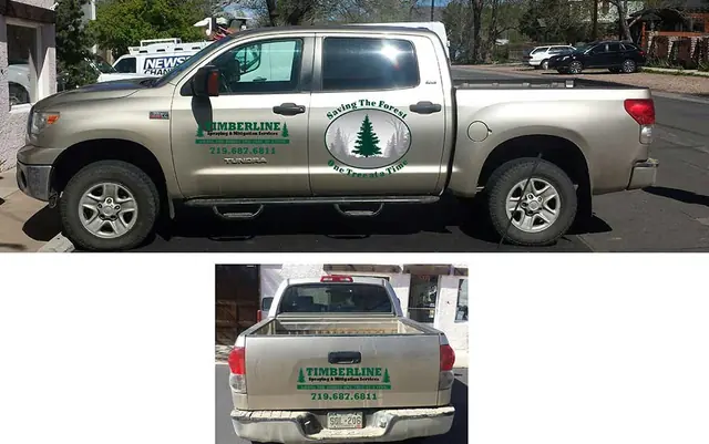 Pickup door logo